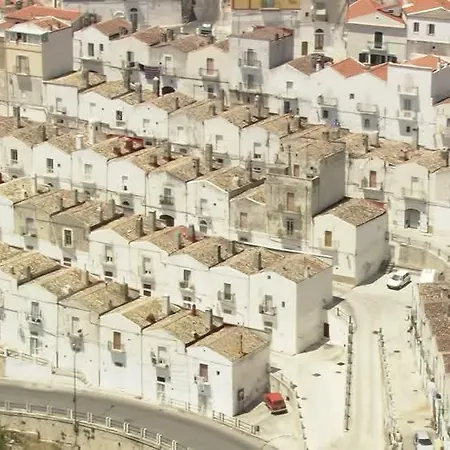Rosa Dei Venti *